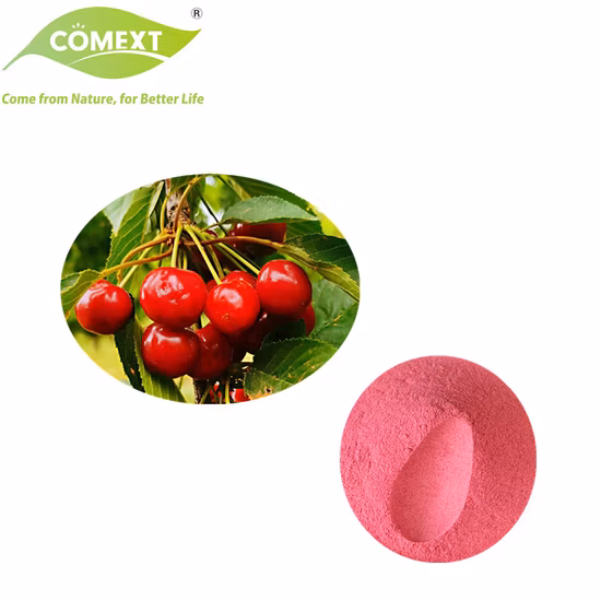 Smoothies Tjttn 100% Natural Freeze Dried Fruit Powder for Beverage Juice Bubble Tea