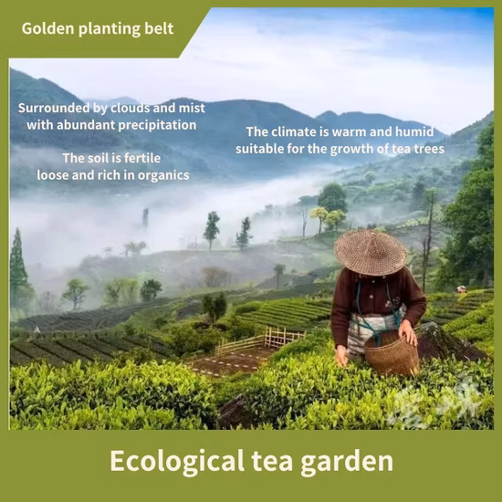 EU認定ルーズリーフ 黒松葉紅茶 深い香りの雲南典紅茶葉