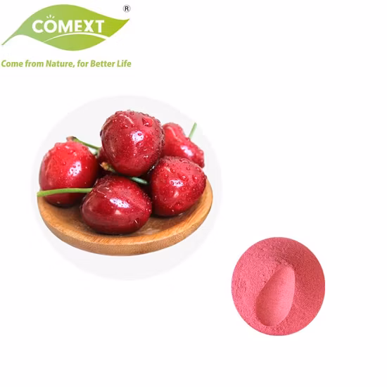 スムージー Tjttn 100% 天然フリーズドライ フルーツ パウダー 飲料ジュース バブル ティー用